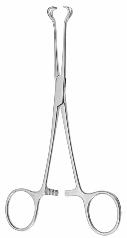 Babcock tissue forceps