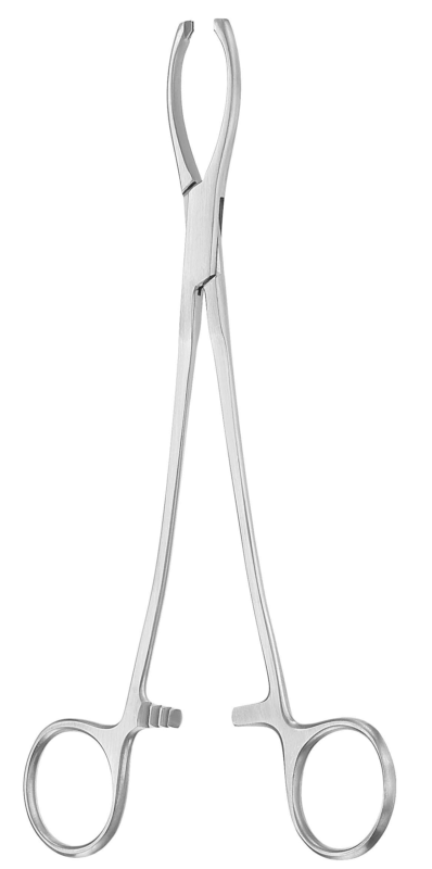 Littlewood forceps