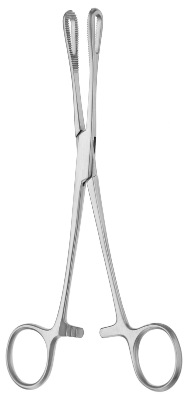 Rampley Sponge Holding