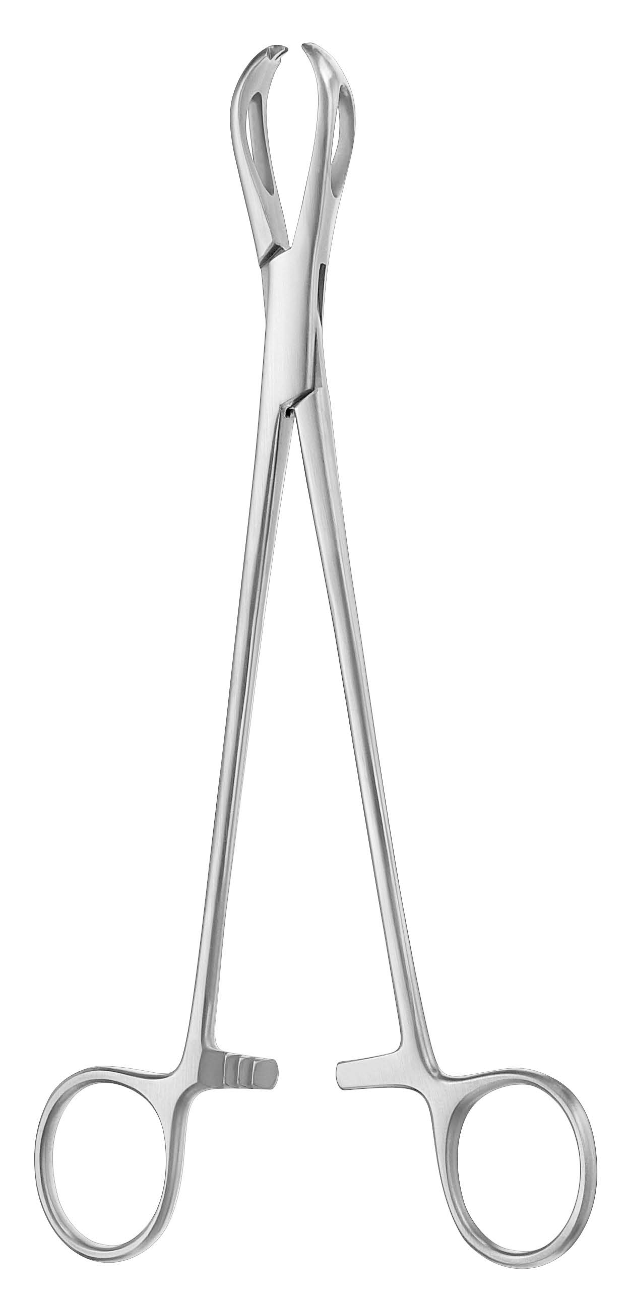 lane tissue forceps