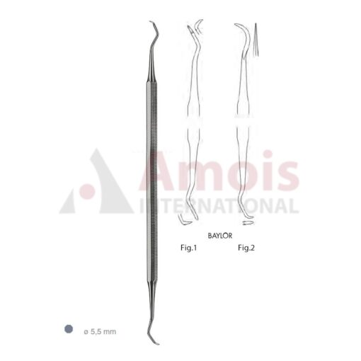 Baylor Scaler Double Ended With Octagonal Handle