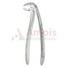Busch Extracting Forceps Broad