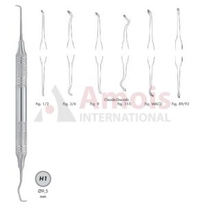 Cleoid-Discoid Carver Double Ended Hollow Handle