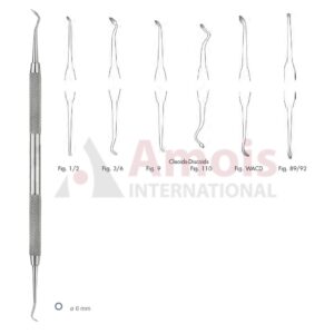 Cleoid-Discoid Carver Double Ended Round Handle