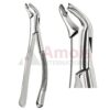 Cryer Extracting Forceps, American Pattern No. 151ab, For Incisors, Cuspids Premolars And Roots From The Lower Jaw