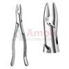 Extracting Forceps, American Pattern No. 1, For Incisors And Cuspids From The Upper Jaw