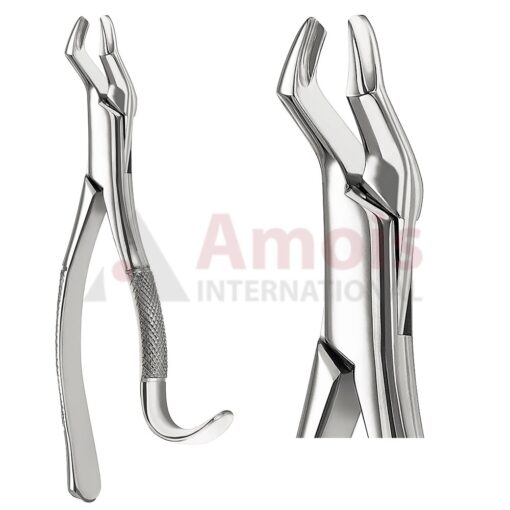 Extracting Forceps, American Pattern No. 10h, For Molars From The Upper Jaw