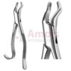Extracting Forceps American Fig.210h