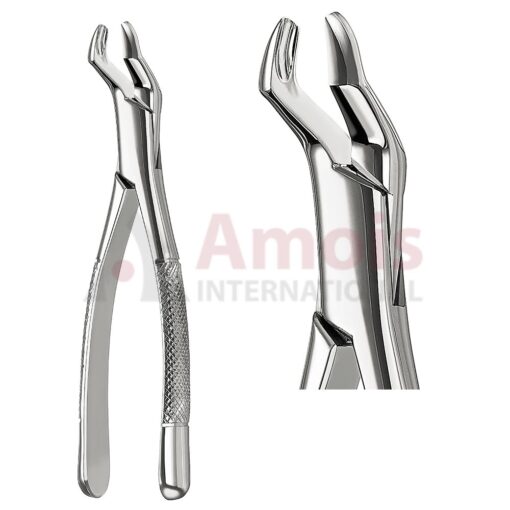 Extracting Forceps American Fig.210s