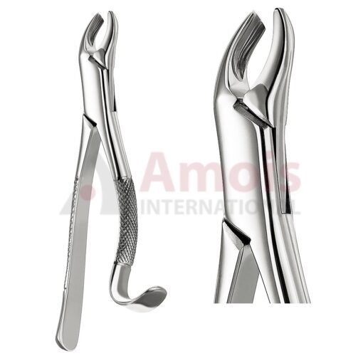 Extracting Forceps, American Pattern No. 24, For Molars From The Upper Jaw