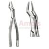 Extracting Forceps, American Pattern No. 65, For Incisors From The Upper Jaw