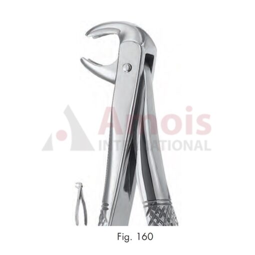 Extracting Forceps Engl.Fig.160 Children?s Pattern
