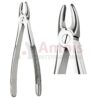 Extracting Forceps English Child 29 S