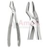 Extracting Forceps English Child 51 S
