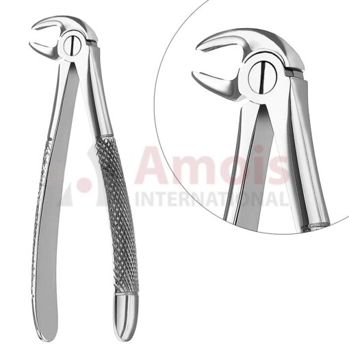 Extracting Forceps, English Pattern No. 13, For Premolars From The Lower Jaw