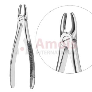 Extracting Forceps, English Pattern No. 2, For Lateral Incisors And Premolars From The Upper Jaw