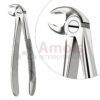 Extracting Forceps, English Pattern No. 22, For Molars From The Lower Jaw