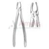 Extracting Forceps English Fig.3