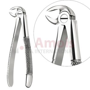 Extracting Forceps, English Pattern No. 33, For Roots, Incisors And Cuspids From The Lower Jaw
