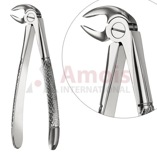 Extracting Forceps, English Pattern No. 33c, For Roots, Incisors And Cuspid From The Lower Jaw