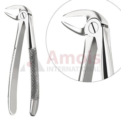 Extracting Forceps, English Pattern No. 33m, For Roots, Incisors And Cuspid From The Lower Jaw