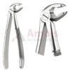 Extracting Forceps, English Pattern No. 36, For Incisors And Cuspids From The Lower Jaw, Deep-Gripping