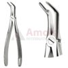 Extracting Forceps, English Pattern No. 46l, For Very Fine Roots, Incisors And Cuspids Form The Lower Jaw