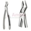 Extracting Forceps, English Pattern No. 53, For Incisors, Cuspids, Premolars And Roots From The Upper Jaw