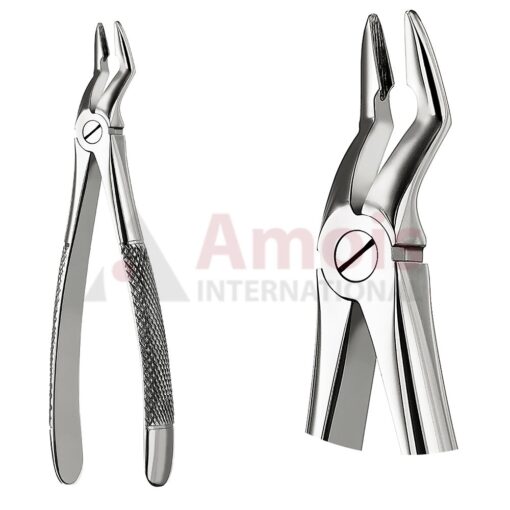 Extracting Forceps, English Pattern No. 53, For Incisors, Cuspids, Premolars And Roots From The Upper Jaw