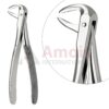 Extracting Forceps, English Pattern No. 74, For Roots, Incisors And Cuspids From The Lower Jaw