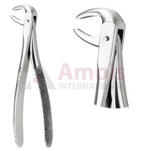 Extracting Forceps, English Pattern No. 75, For Incisors And Cuspids From The Lower Jaw
