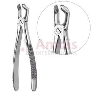 Extracting Forceps, English Pattern No. 79, For Wisdom Teeth From The Lower Jaw