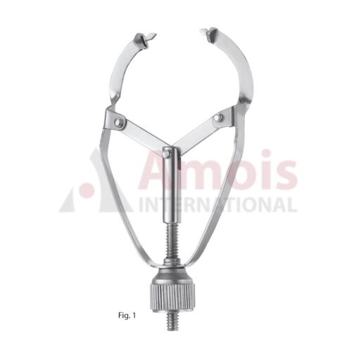 Ivory Matrix Retainer No.1