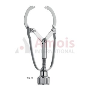 Ivory Matrix Retainer No.12