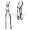 Nevius Extracting Forceps, American Pattern No. 88l, For Molars And Premolar, Left, From The Upper Jaw