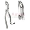 Thomas Extracting Forceps, American Pattern No. 85, For Incisors, Cuspids, Premolars Und Molars From The Lower Jaw