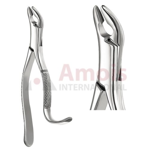 Thomas Extracting Forceps, American Pattern No. 85a, For Incisors, Cuspids, Premolars Und Molars From The Lower Jaw
