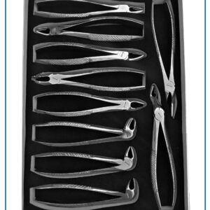 “10-piece stainless steel dental extraction forceps set for professional tooth removal procedures”