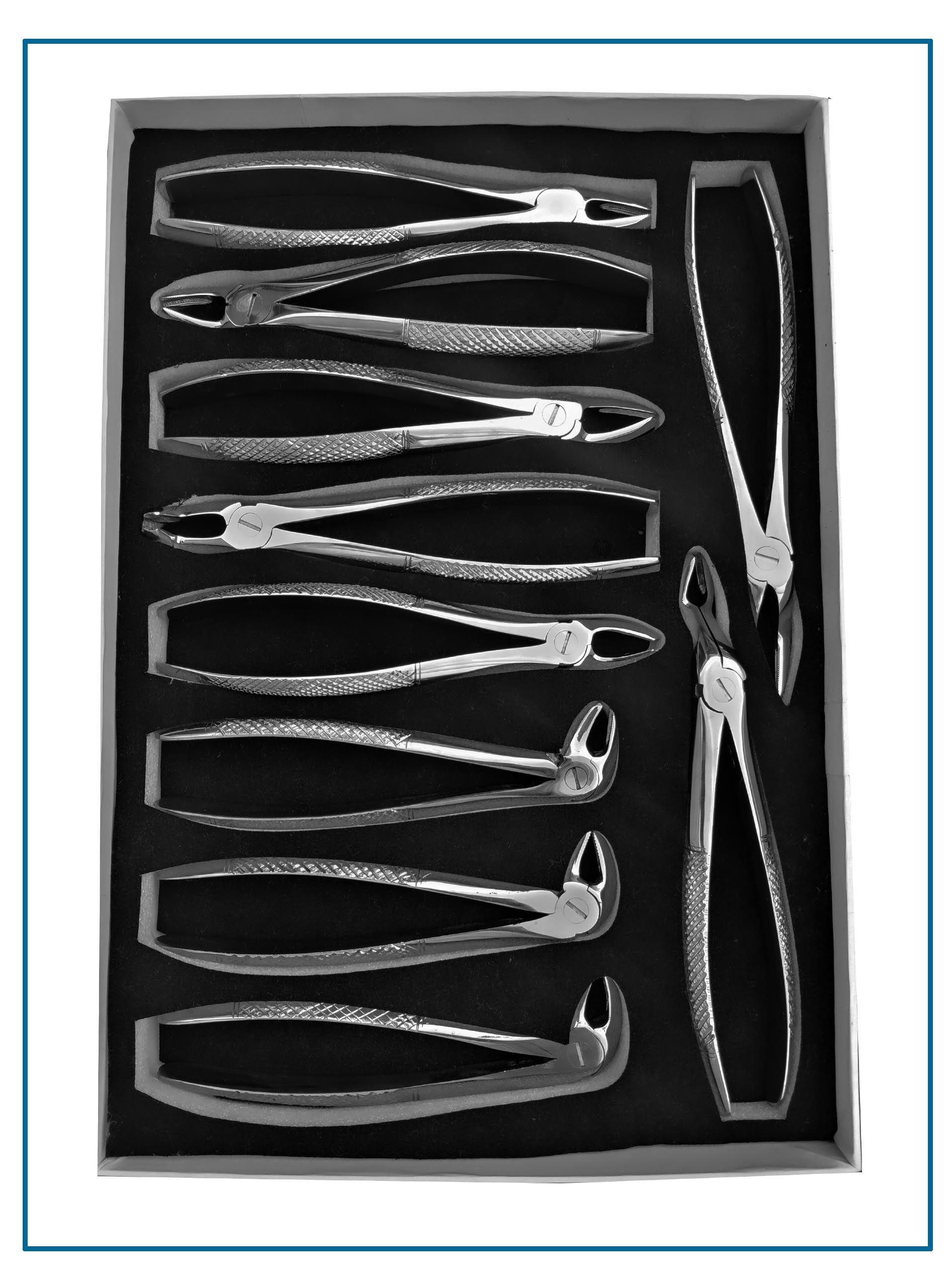 “10-piece stainless steel dental extraction forceps set for professional tooth removal procedures”