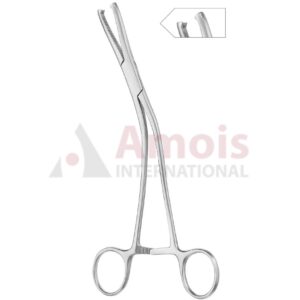 Dingmann Bone Holding Forceps 19cm 2x2 Teeth