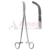 Lahey Gall Duct Forceps 23cm