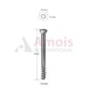 Screw Cannulated 7 mm 16thrd