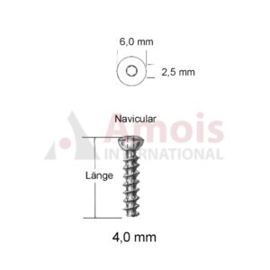 Screw Cannulas Navicular